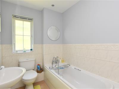Picture 21